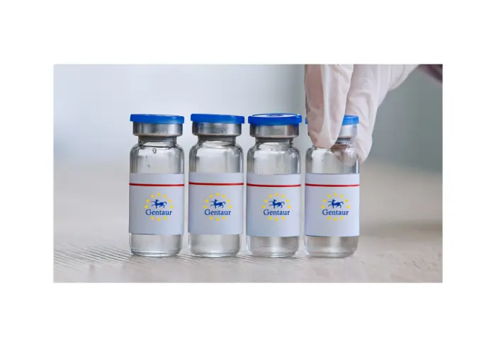 Dengue Envelope-1 & 4