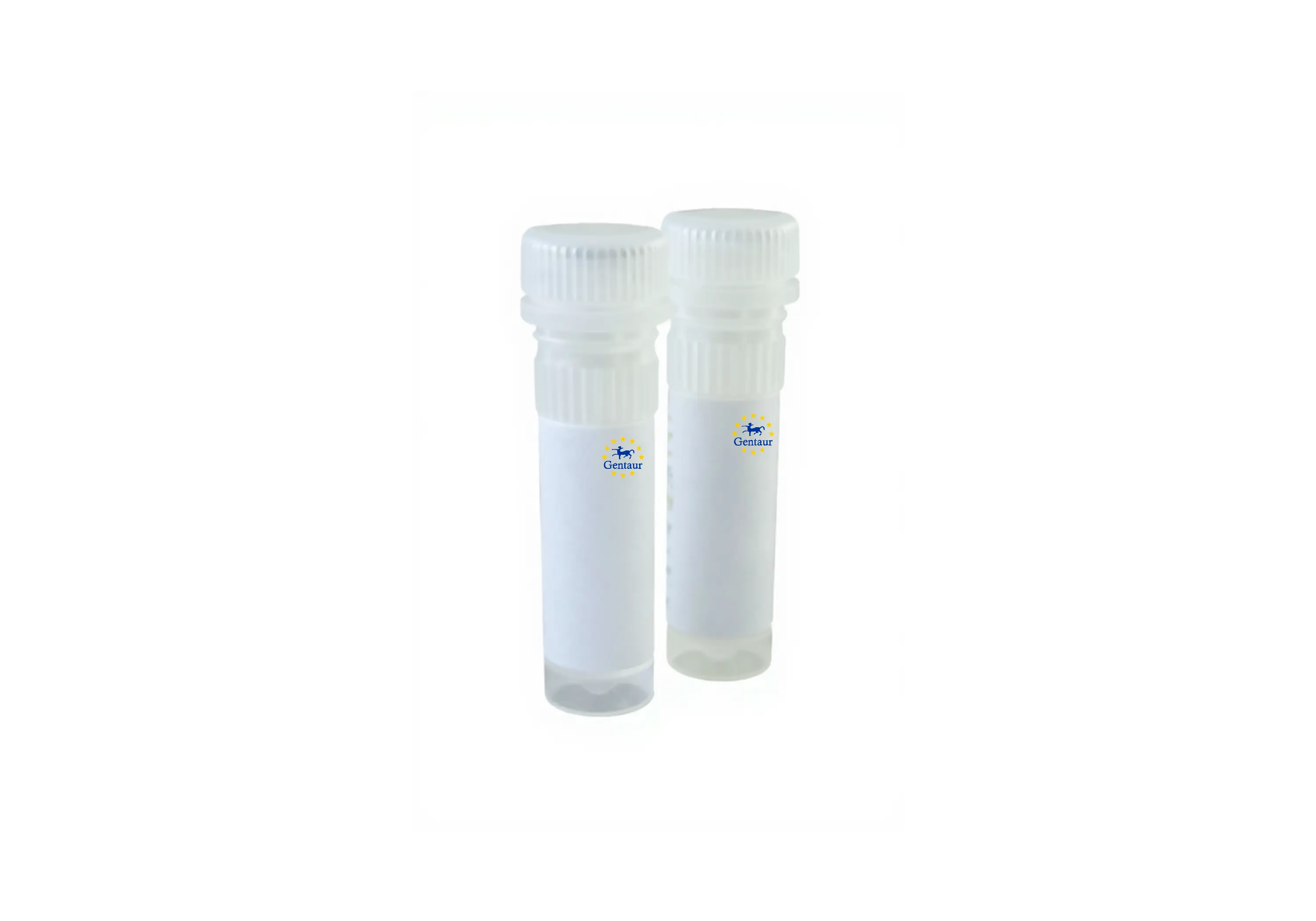  taq plus hot start dna polymerase 2x master mix 200 x 50ul