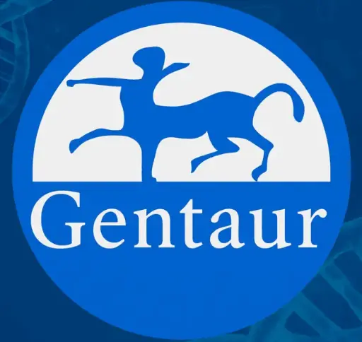 [IB79290] Yersinia enterocolitica IgG ELISA - 96 Determinations